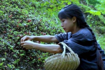 最接地气的网红年入1.6亿座驾谁都想不到