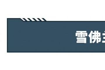 有豪车有国产20万买SUV引荐这几类性价比高的