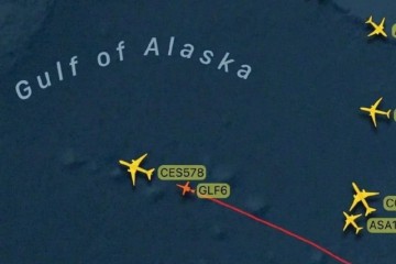 国产Model3交给马斯克在线脱衣热舞