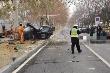 百万林肯撞树致1死4伤咱们该怎么避免试驾事端