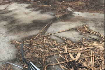 同享轿车坟场已被清空运营公司称车辆将拍卖