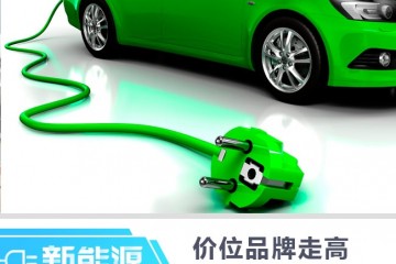 价位品牌继续走高严选EV消费陈述剖析