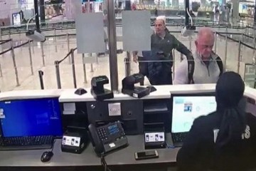 疑似戈恩两名同行者别离持美国/黎巴嫩护照