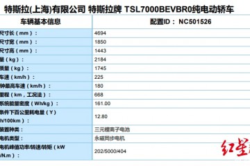 特斯拉并未弃钴新发布车型仍运用三元锂电子