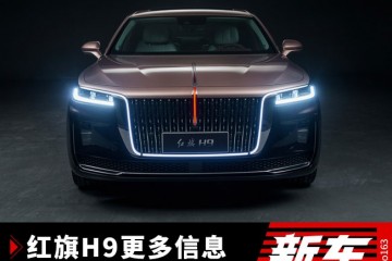起价格能低于30万红旗H9更多信息发表