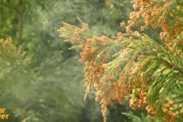 踏春出游车内空气环境有多重要