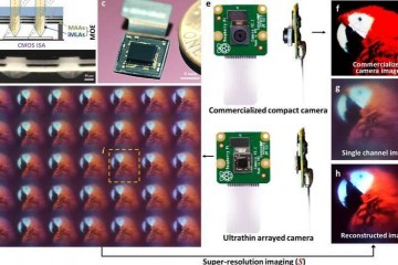 韩国科学家受胡蜂寄生昆虫的启示研制超薄阵列摄像头用于车辆等