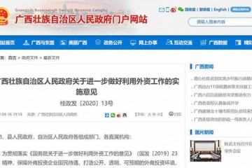 支撑外商独资新能源车企落户广西抛出的绣球谁会接