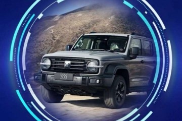 《2024上半年中国汽车保值率》报告发布：坦克300稳居紧凑型SUV第一